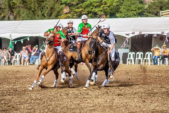 勃勃的俱乐